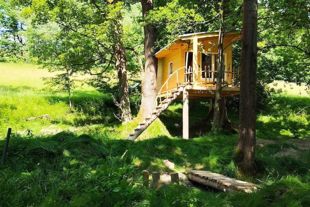 Treehouse Lea Appartement Mikulášovice Buitenkant foto